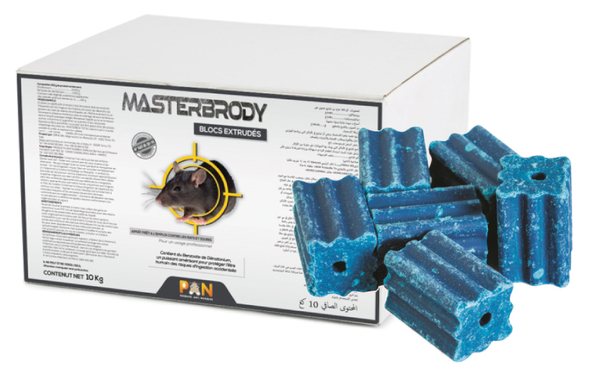 MASTERBRODY